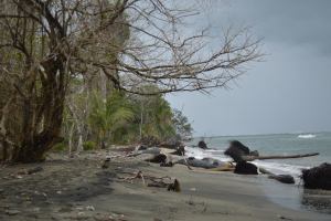 Coastal incursion in Costa Rica. Photo by Diego Ortiz