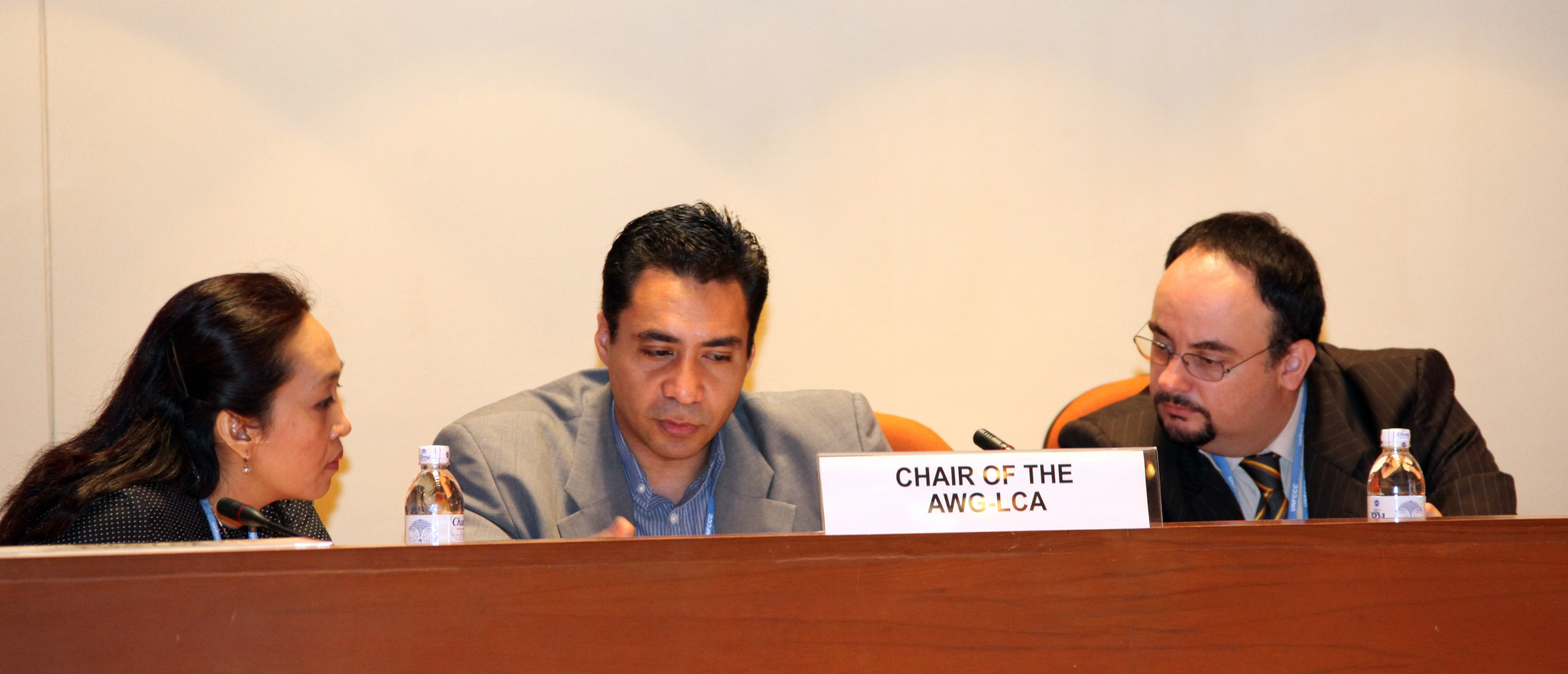 http://www.iisd.ca/climate/ccwg17i/pix/3dais-finance_2208.jpg