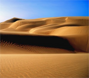 No space for polar bears? the Arctic was less visible than ever at the Doha climate conference.