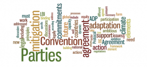 Word cloud generated from the submission by AILAC and the Environmental Integrity Group.