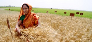 What is the fair share of global efforts to mitigate climate change should rural communities in the global south?