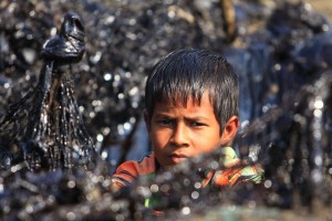A young boy looks tries to clean up the oil spill. Photo: BBC