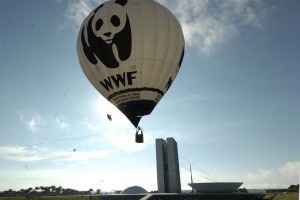 WWFbalaobrasilia22032007
