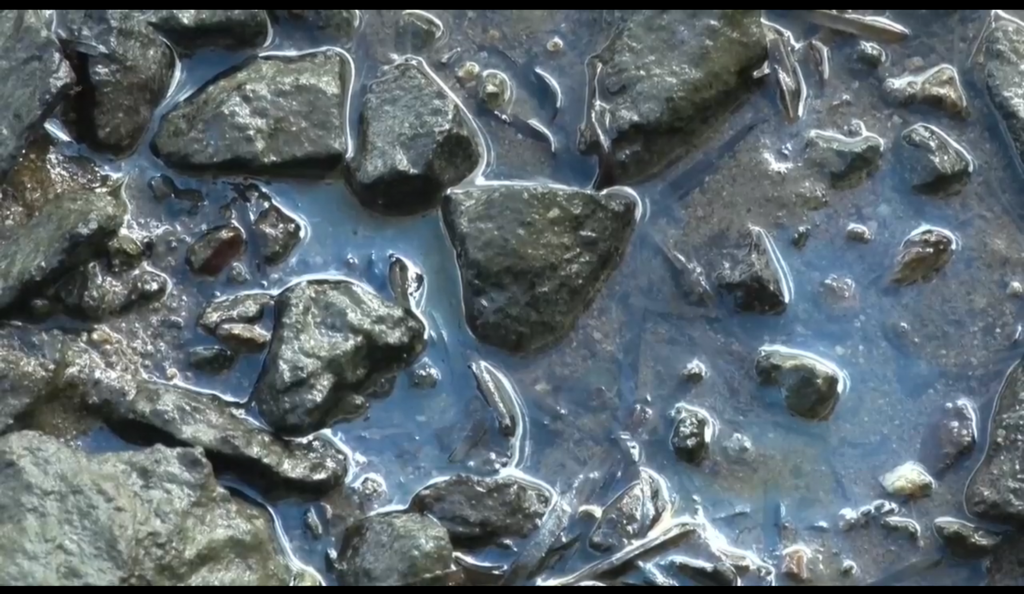 Screen Shot 2015-04-30 at 11.11.15 pm