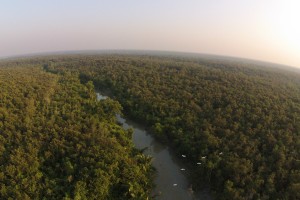 sundarbans_wikicommons